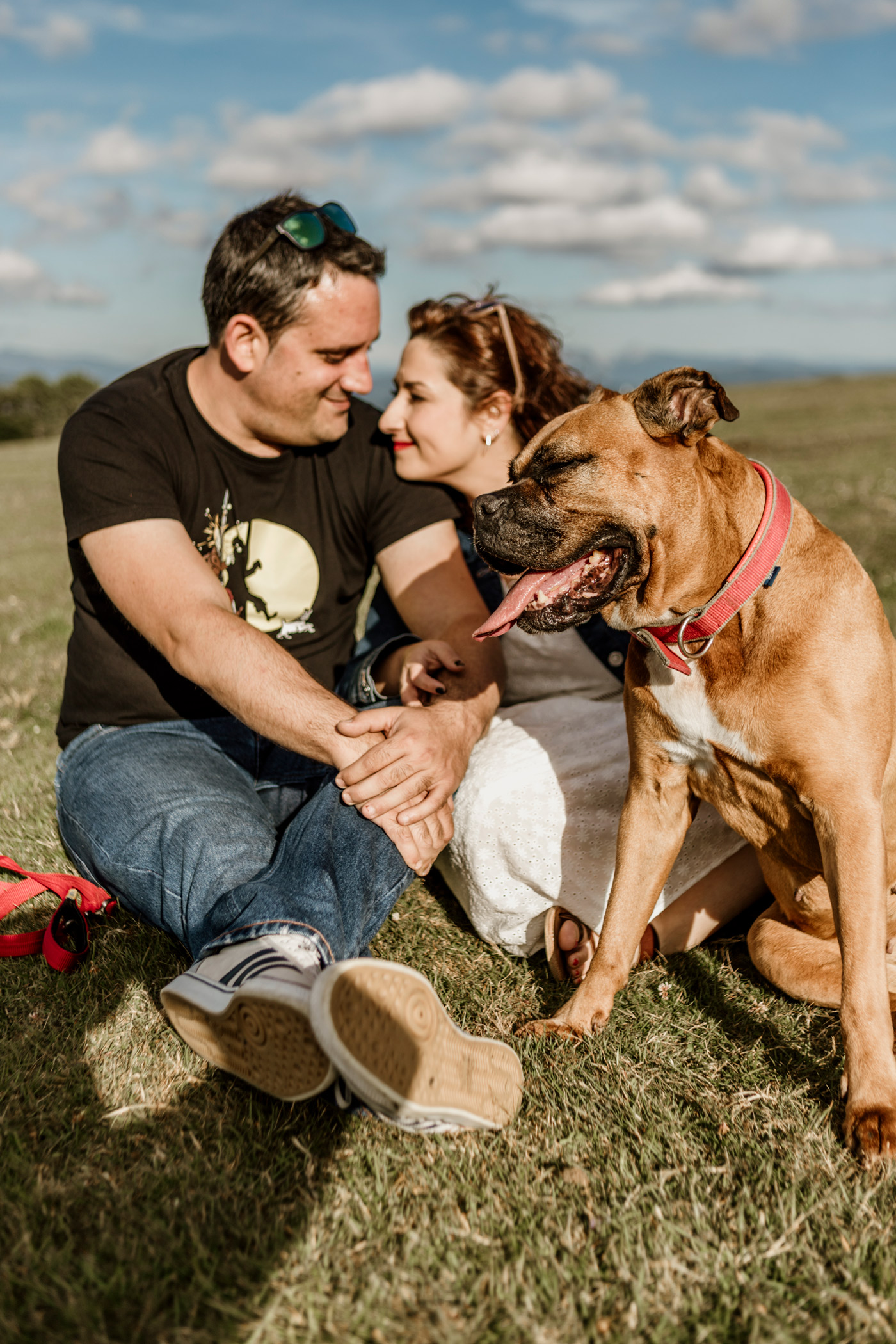 Pareja sentada en el campo con su perro durante una preboda al aire libre.