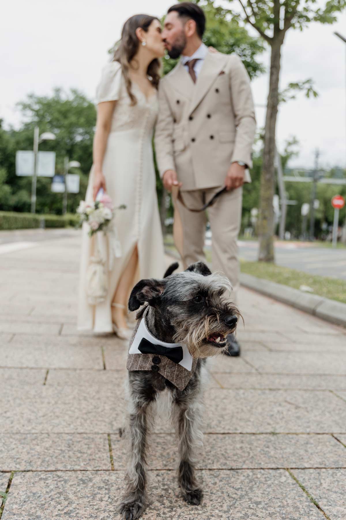 Fotografía postboda novios con perro
